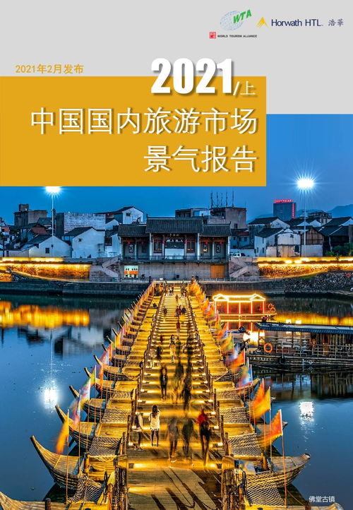 2021年上半年 下半年中国国内旅游市场景气调查报告 合集